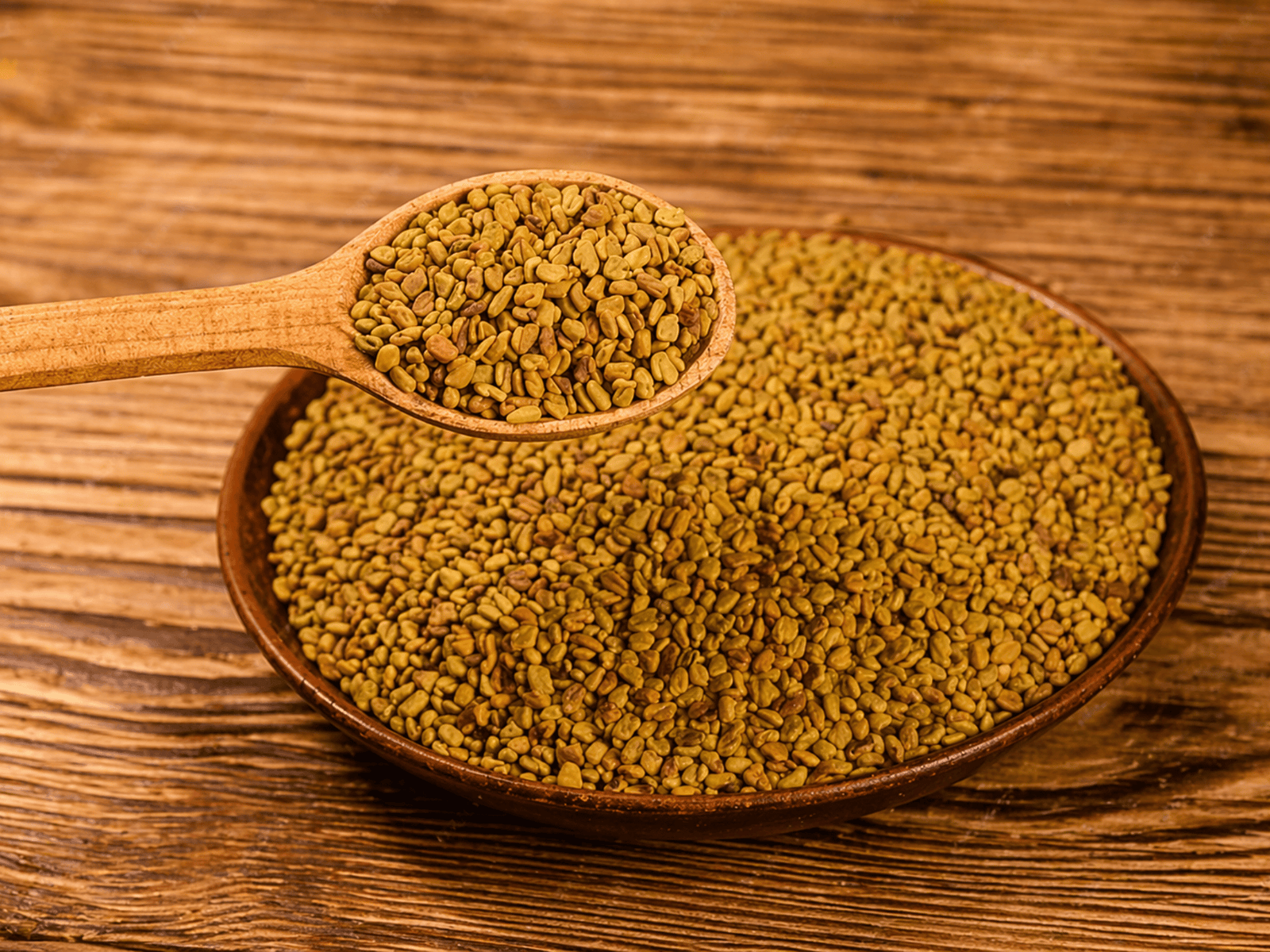 Fenugreek Seeds - Methi Dana